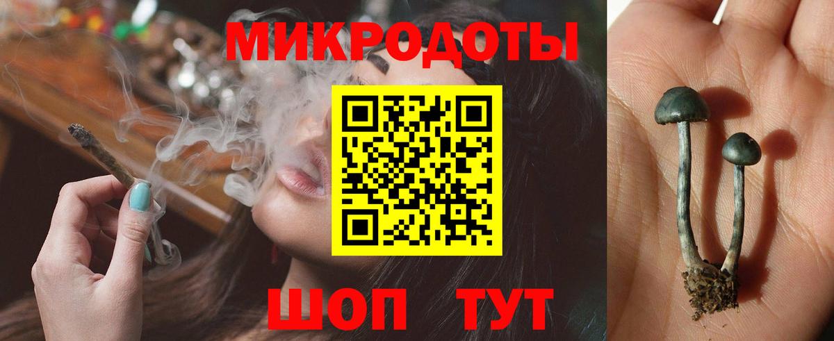 Галлюциногенные грибы GOLDEN TEACHER  Вход с VPN  Псилоцибиновые грибы GOLDEN TEACHER  Всеволожск 