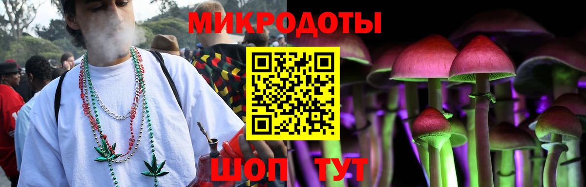 Галлюциногенные грибы Cubensis Всеволожск